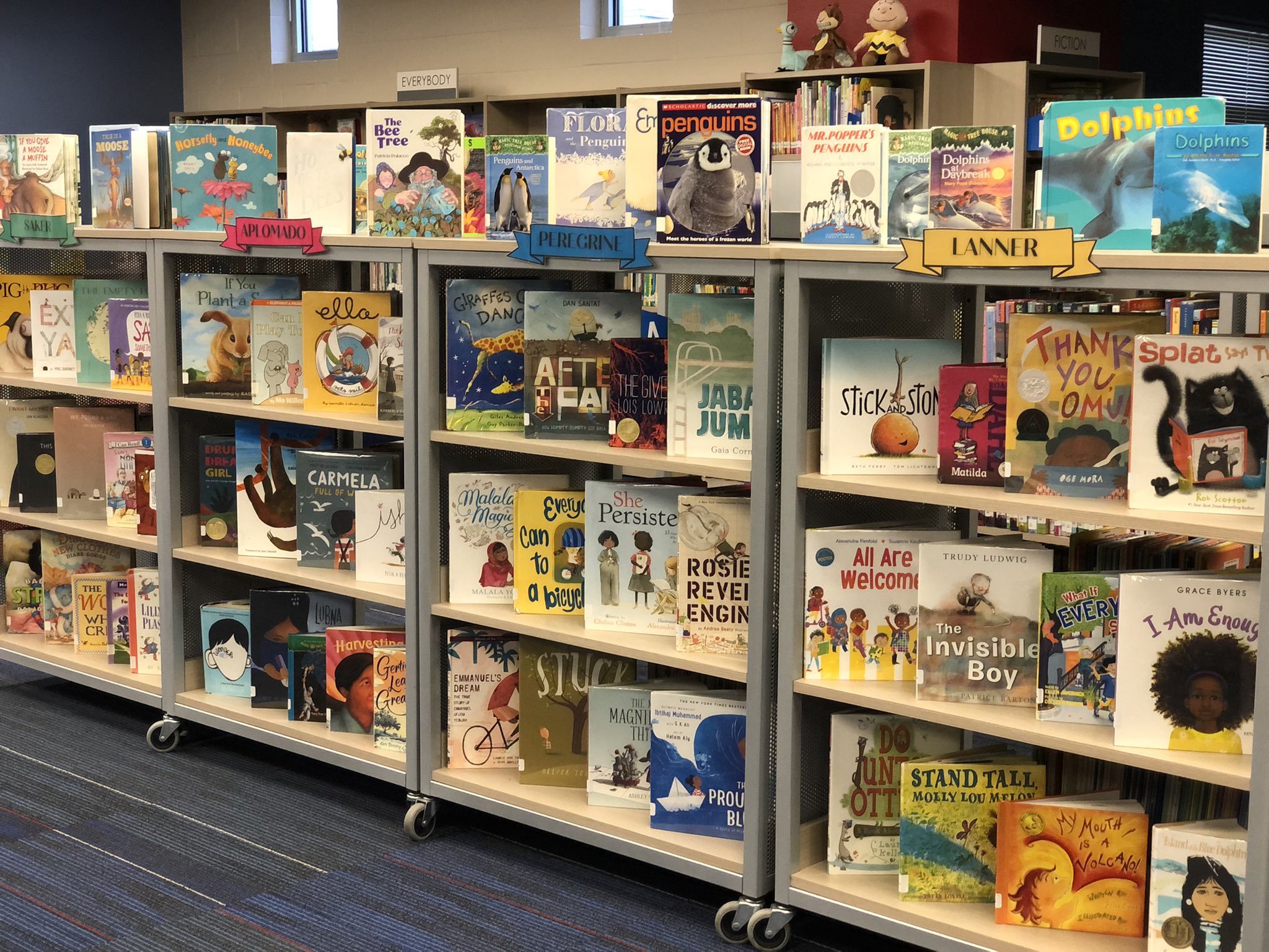 Campus Library Information Arapaho Classical