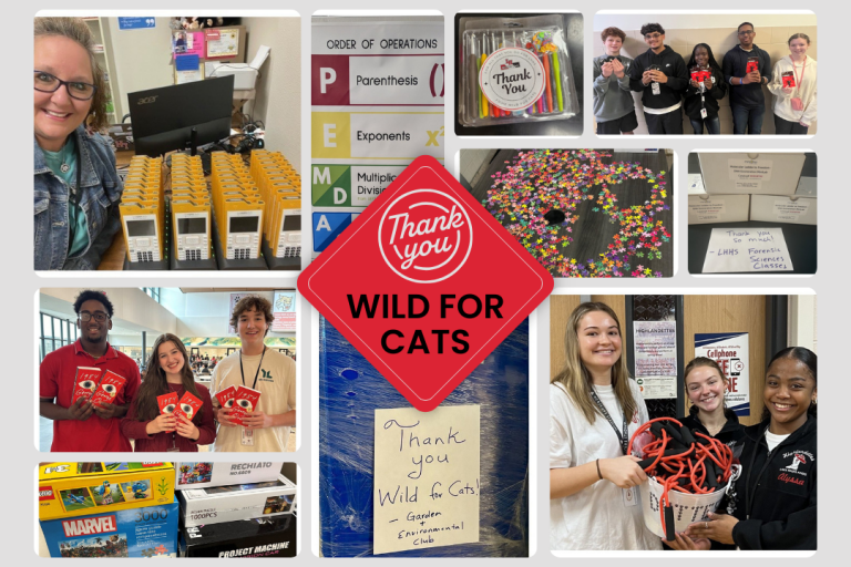 Wild For Cats donation pictures