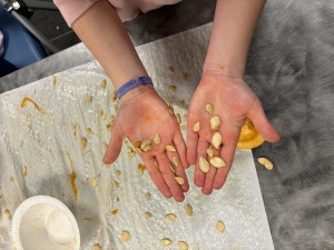 Picture of student hands holding pumpkin seeds.