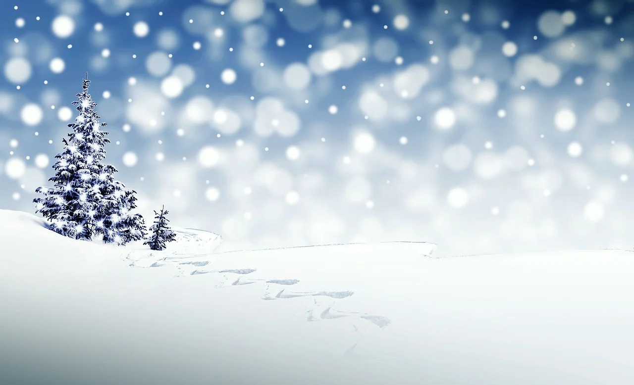 Christmas wonderland snowscape