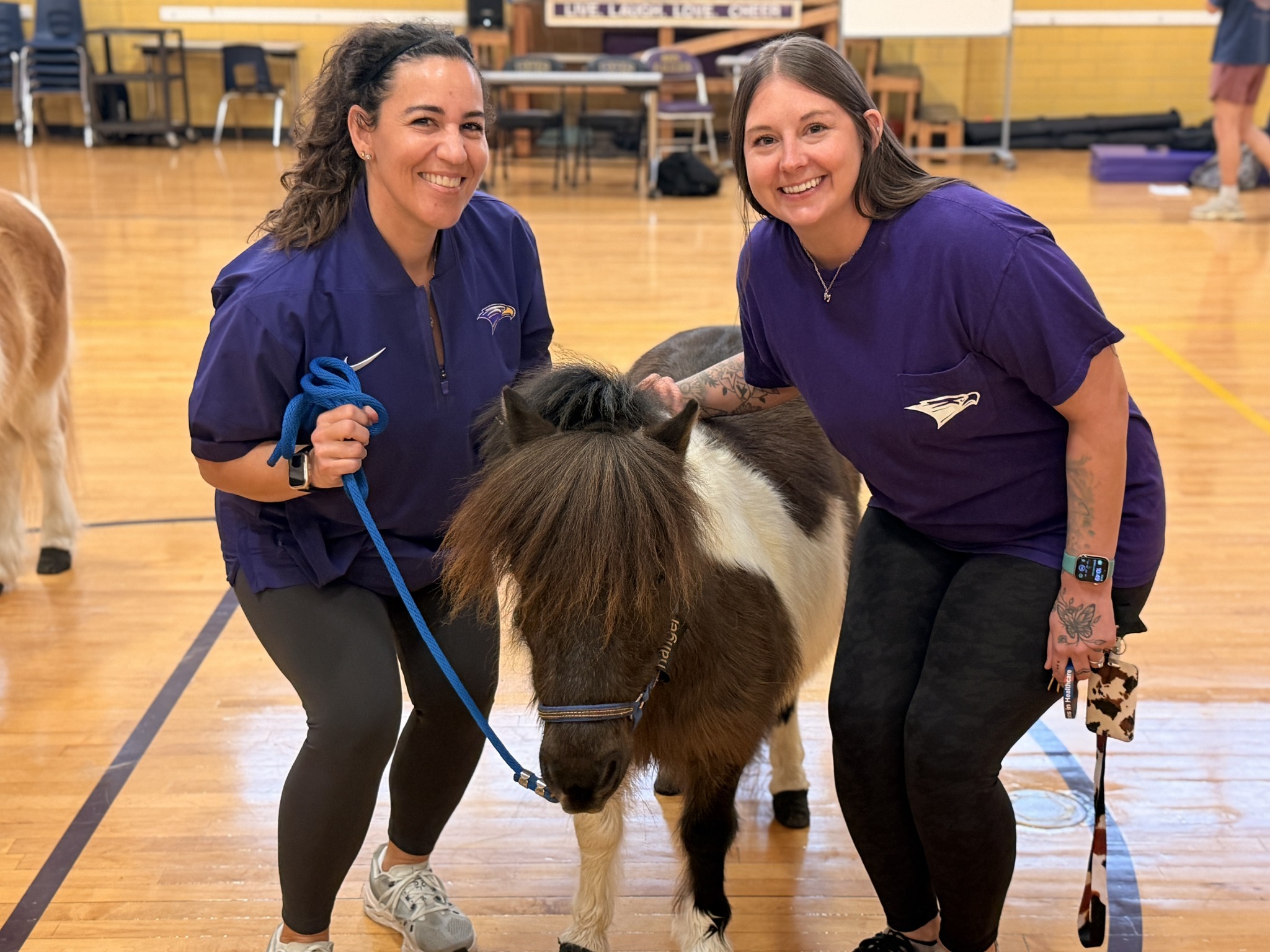 RHS Mini Horse