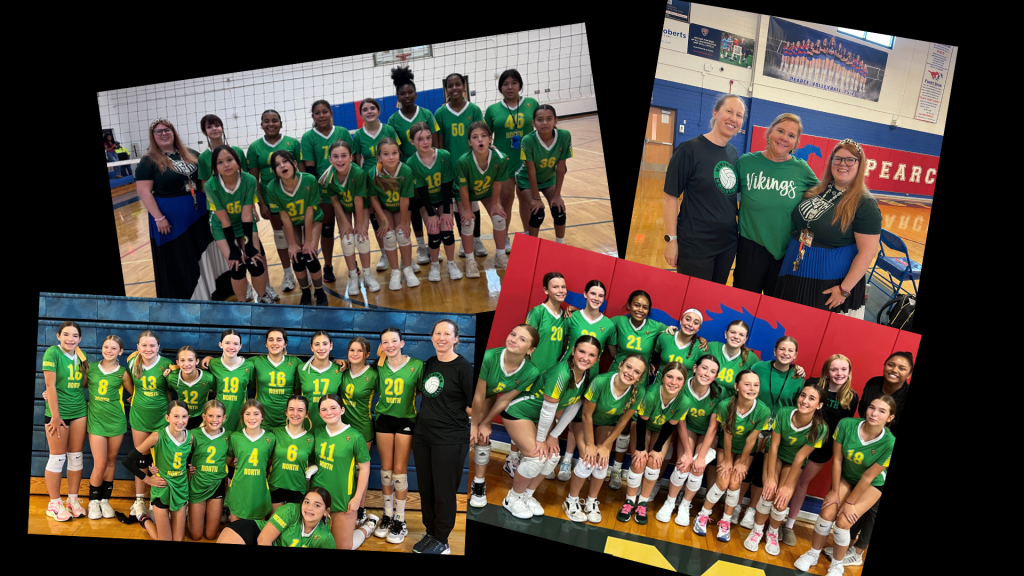 Viking Volleyball Collage