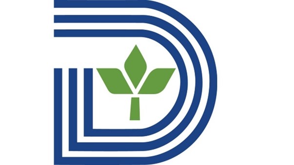 Dallas Logo